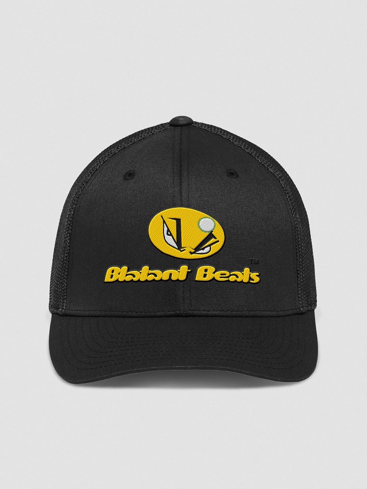 Blatant Beats x Flexfit Embroidered Cap product image (2)
