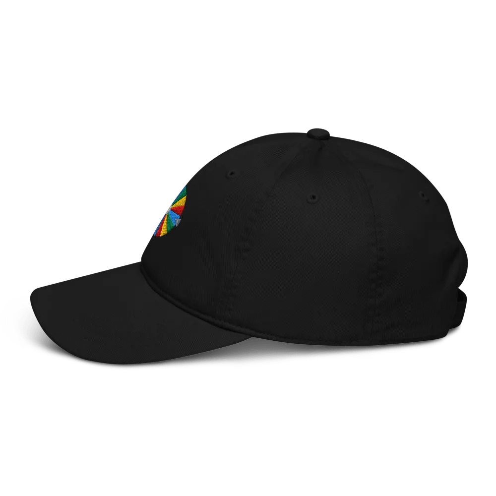 TheWiseGrape Wheel Dad Hat product image (6)