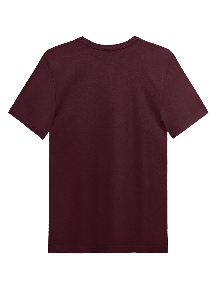 I've been to Janesville Next Level Tee product image (25)
