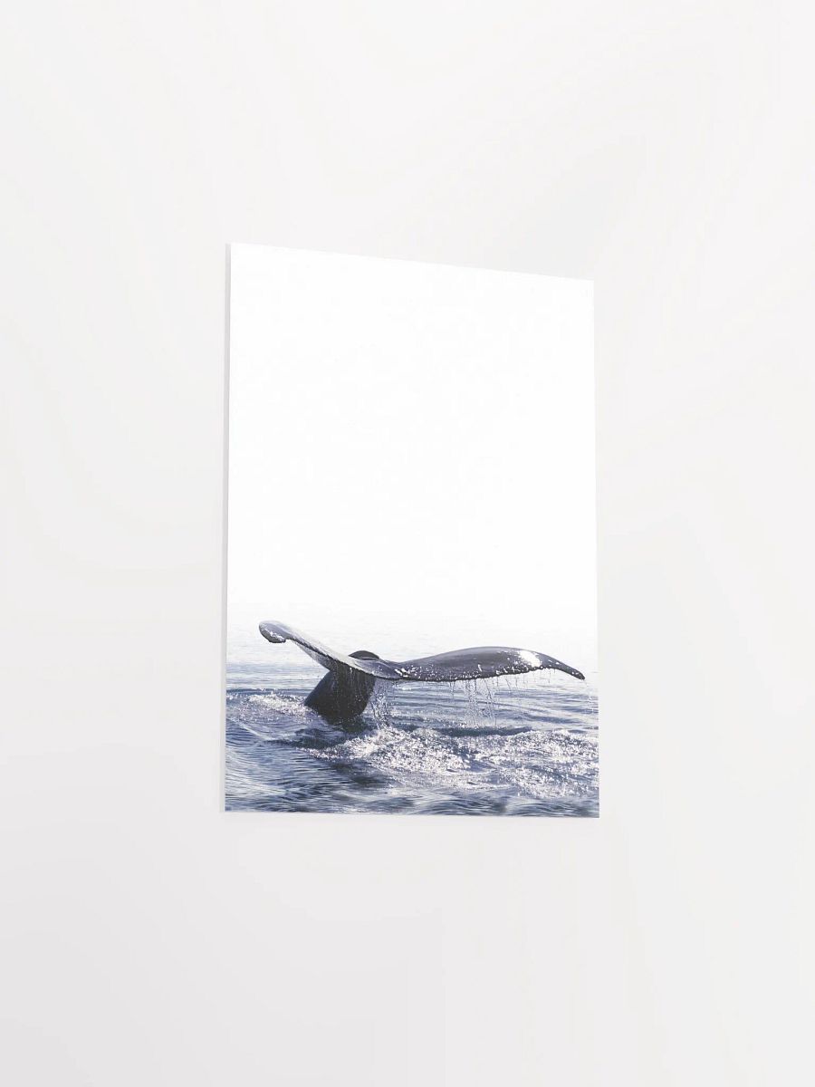 Whale Tail Dive Poster product image (31)