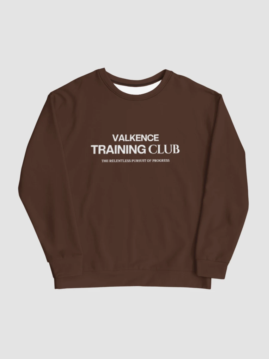 Training Club Sweatshirt - Mocha product image (5)