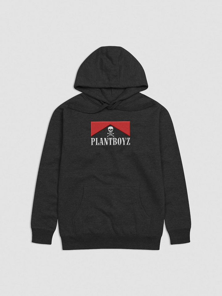 Flavor Country embroidered hoodie product image (1)