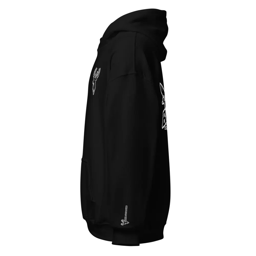 Embroidered and Print Hoodie product image (3)