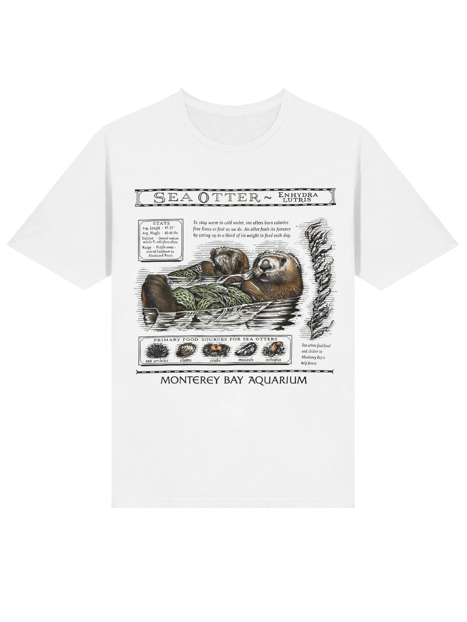 Enhydra Lutris Unisex Tee product image (15)