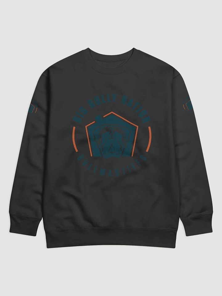 BBN Logo 2 Premium Sweatshirt product image (3)