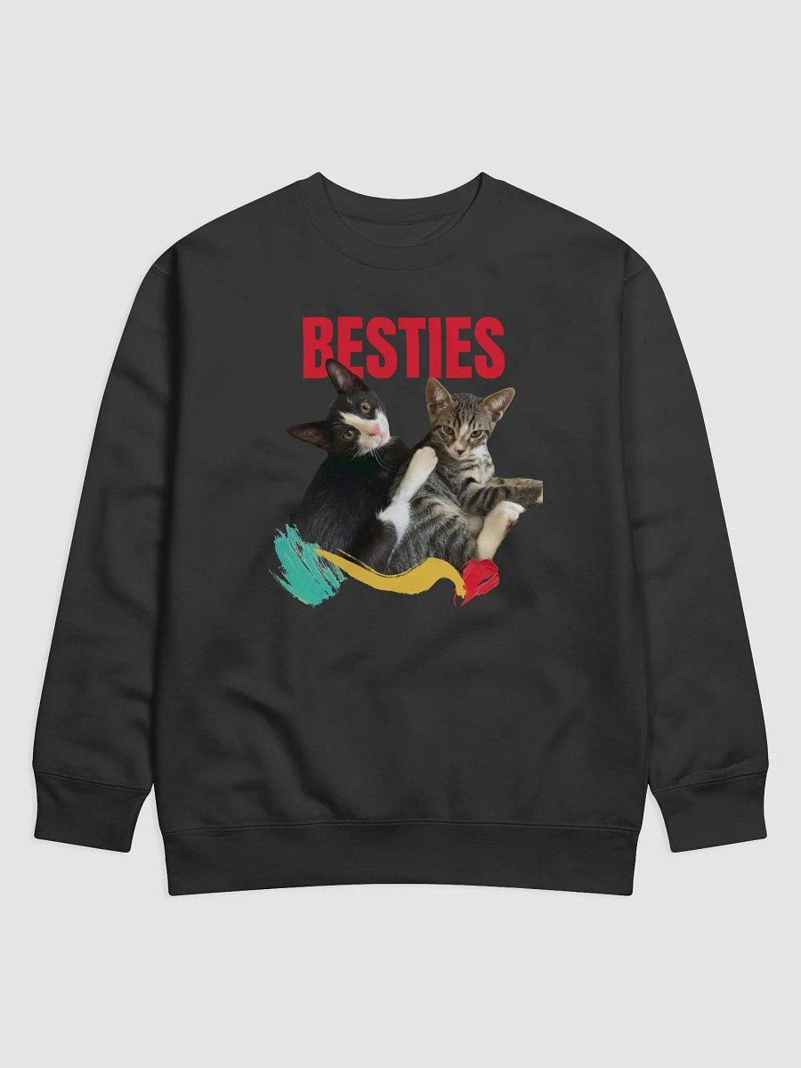 Besties Embrace Premium Sweatshirt product image (1)