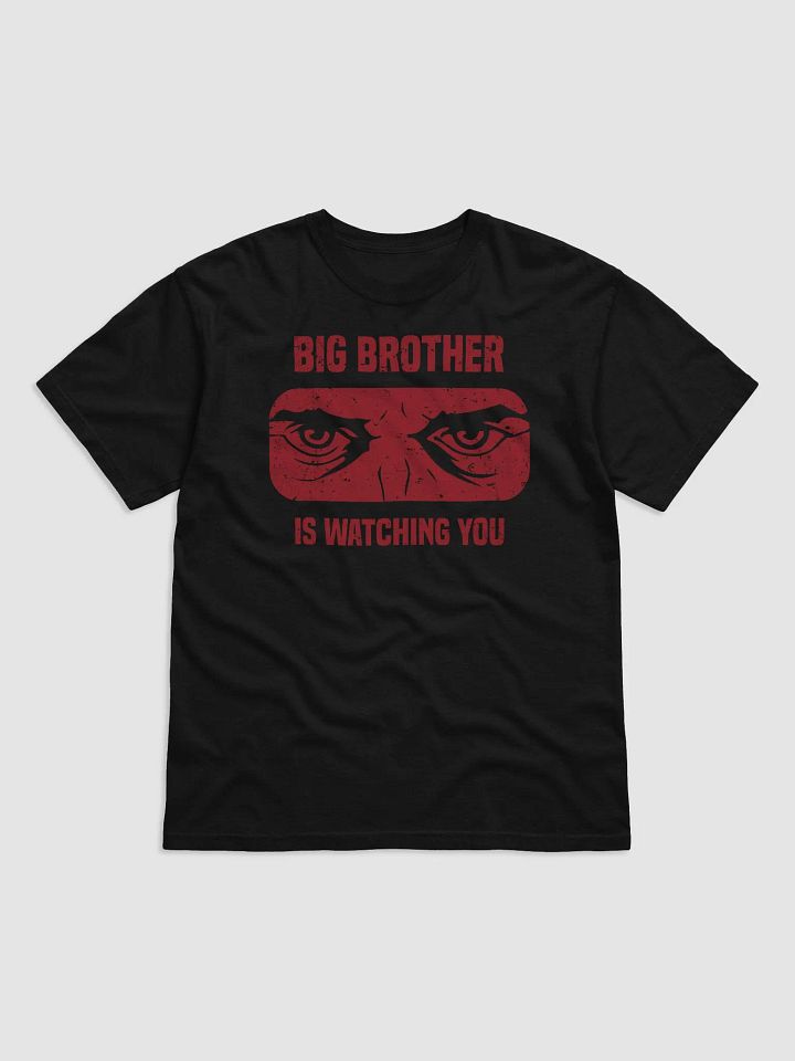 Big Brother Is Watching You T-Shirt product image (1)