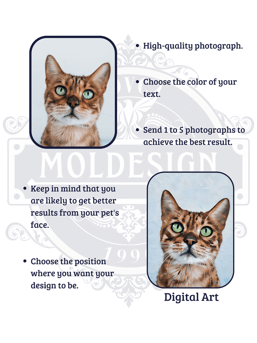 YOUR CAT! / FRAMED HIGH-QUALITY MATTE POSTER / PERSONALIZED NAME / DIGITAL ART / 18" X 24" product image (3)