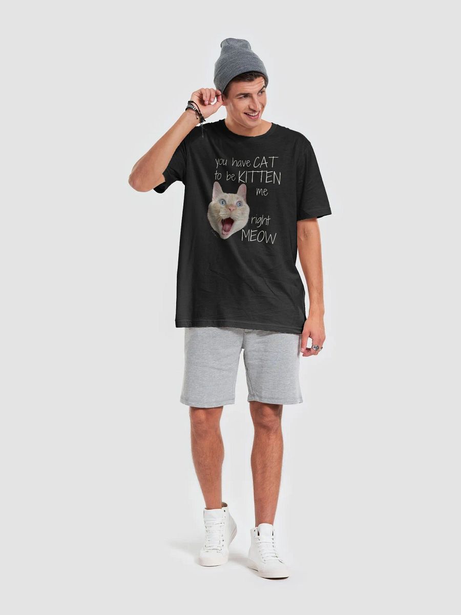 You have CAT to be KITTEN me right MEOW Shirt (BC) product image (6)