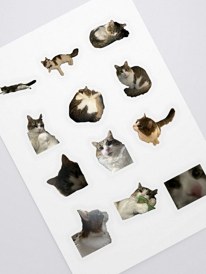 Kiki Sticker Sheet product image (1)