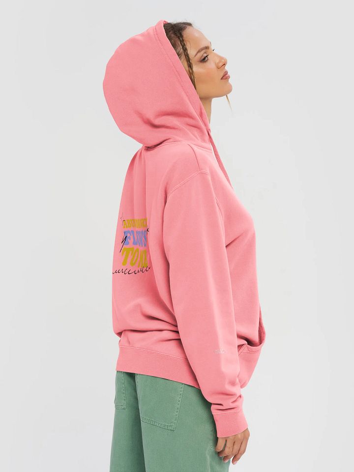 WYS Abundance Flows Vintage Hoodie product image (1)