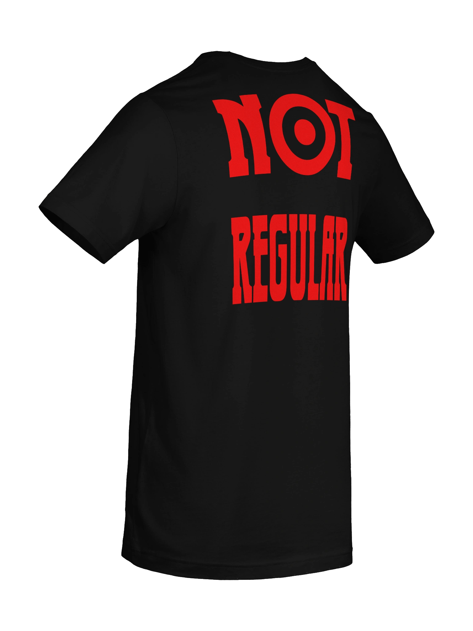 "NOT REGULAR" TEE product image (67)