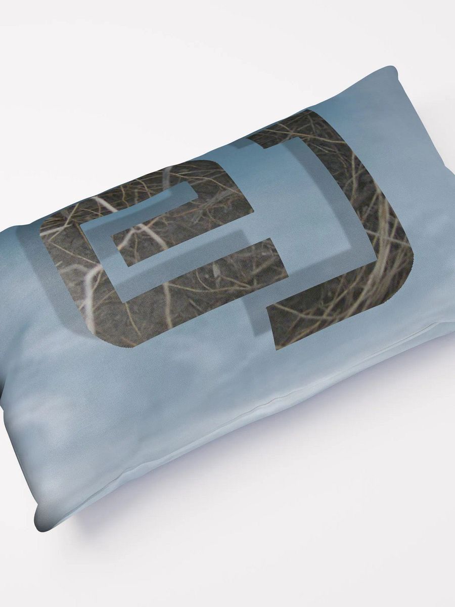 Decorative EJ Pillow product image (12)