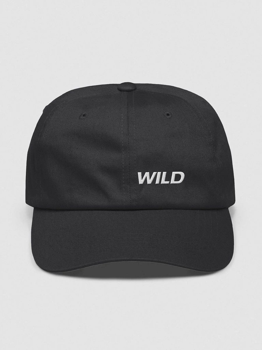 WILD ONES Jimmi Cap product image (1)