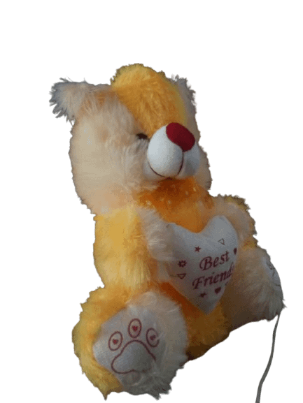 Teddy Bear product image (2)