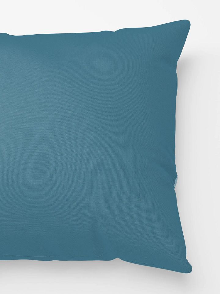 Strength for Today & Bright Hope for Tomorrow Pillow product image (4)