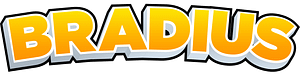 Bradius Store