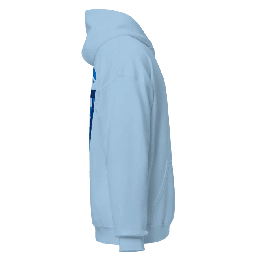 Sulsa07G Embroidered Hoodie product image (4)