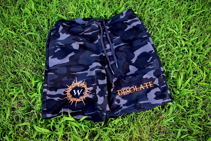 Desolate Camo Shorts product image (1)