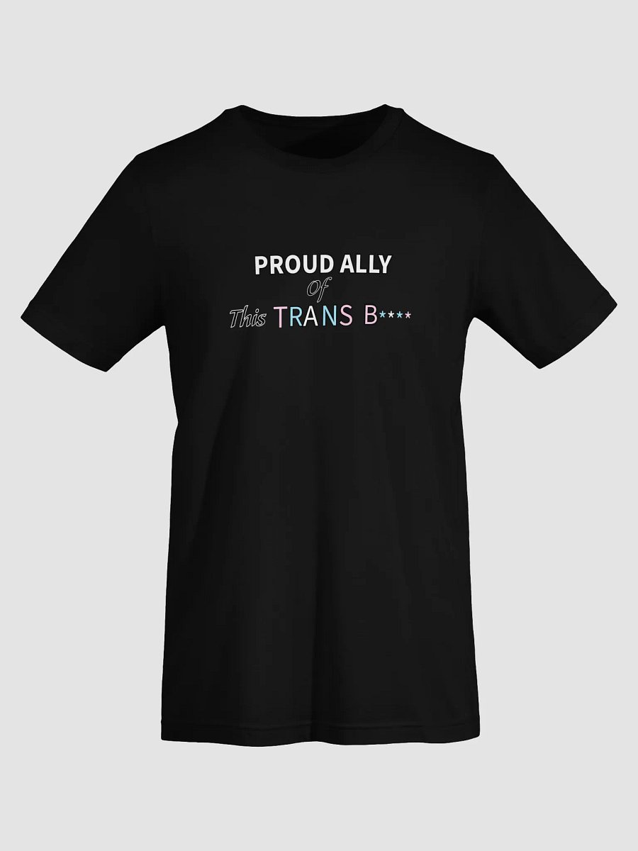 Pretty Proud Ally T (Trans) product image (25)