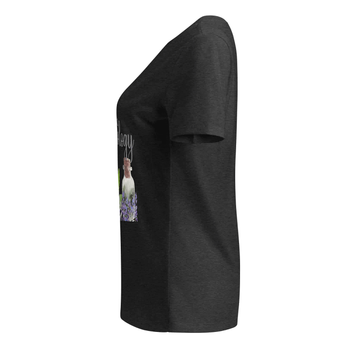 Natural Health Solutions V-Neck Tee product image (28)