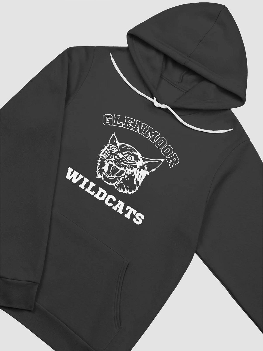 Black | Adult Bella+Canvas Supersoft Hoodie product image (3)