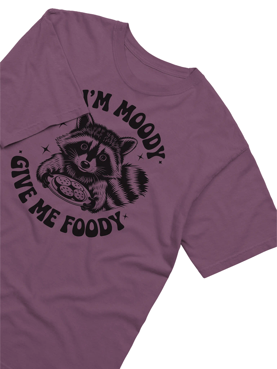 If I'm Moody Give Me Foody CC1717 T-Shirt product image (14)
