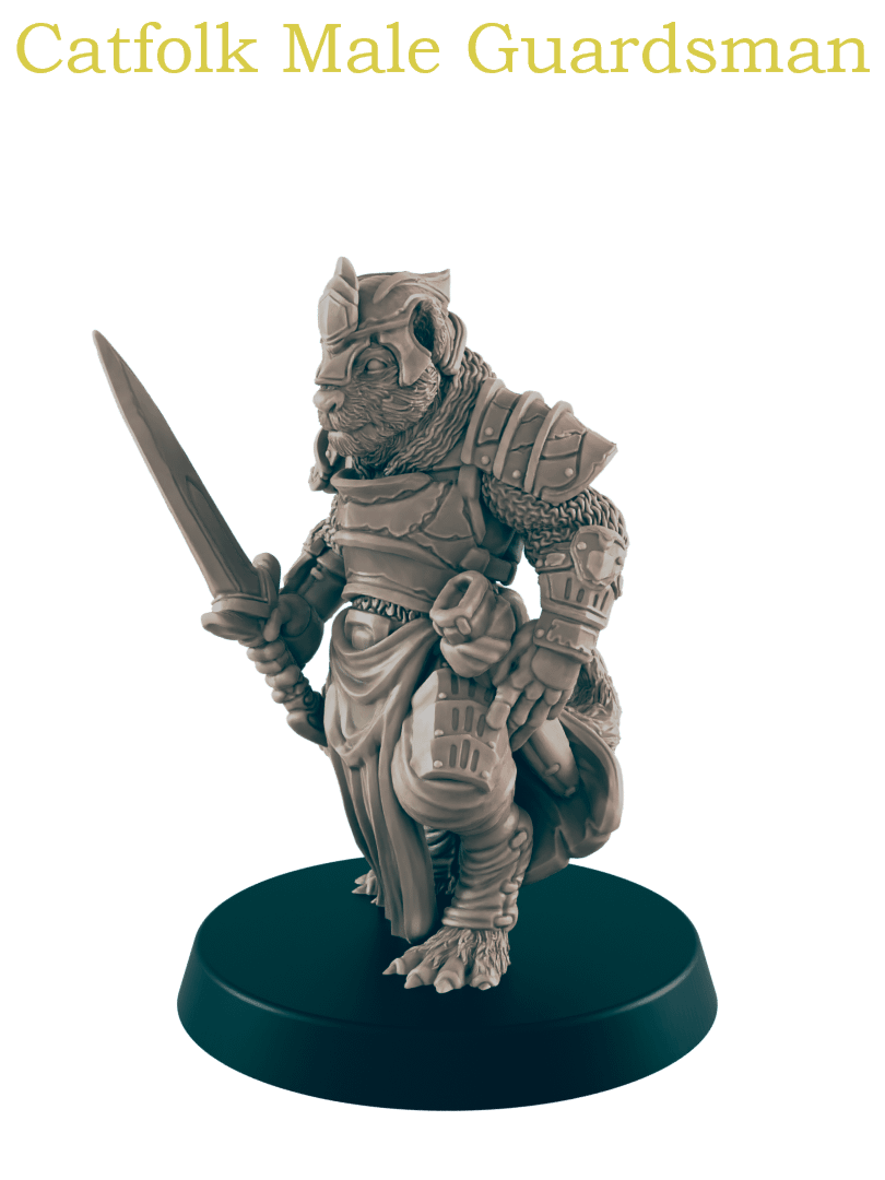 Tabaxi (Catfolk) Pack product image (5)