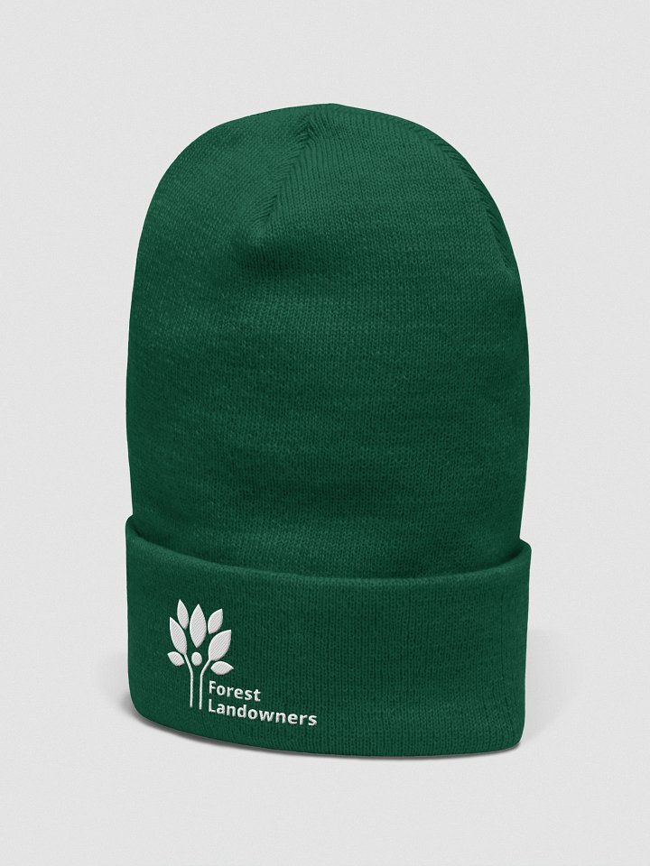 Green FLA Beanie product image (2)