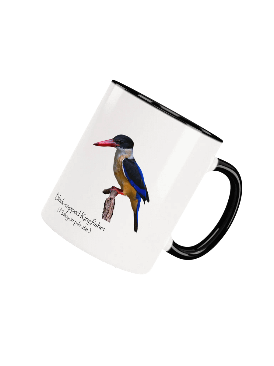 Black-capped Kingfisher mug product image (33)