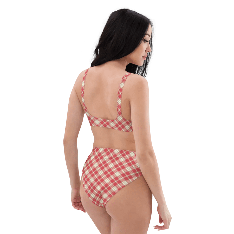 Coral Pink Plaid Bikini product image (6)