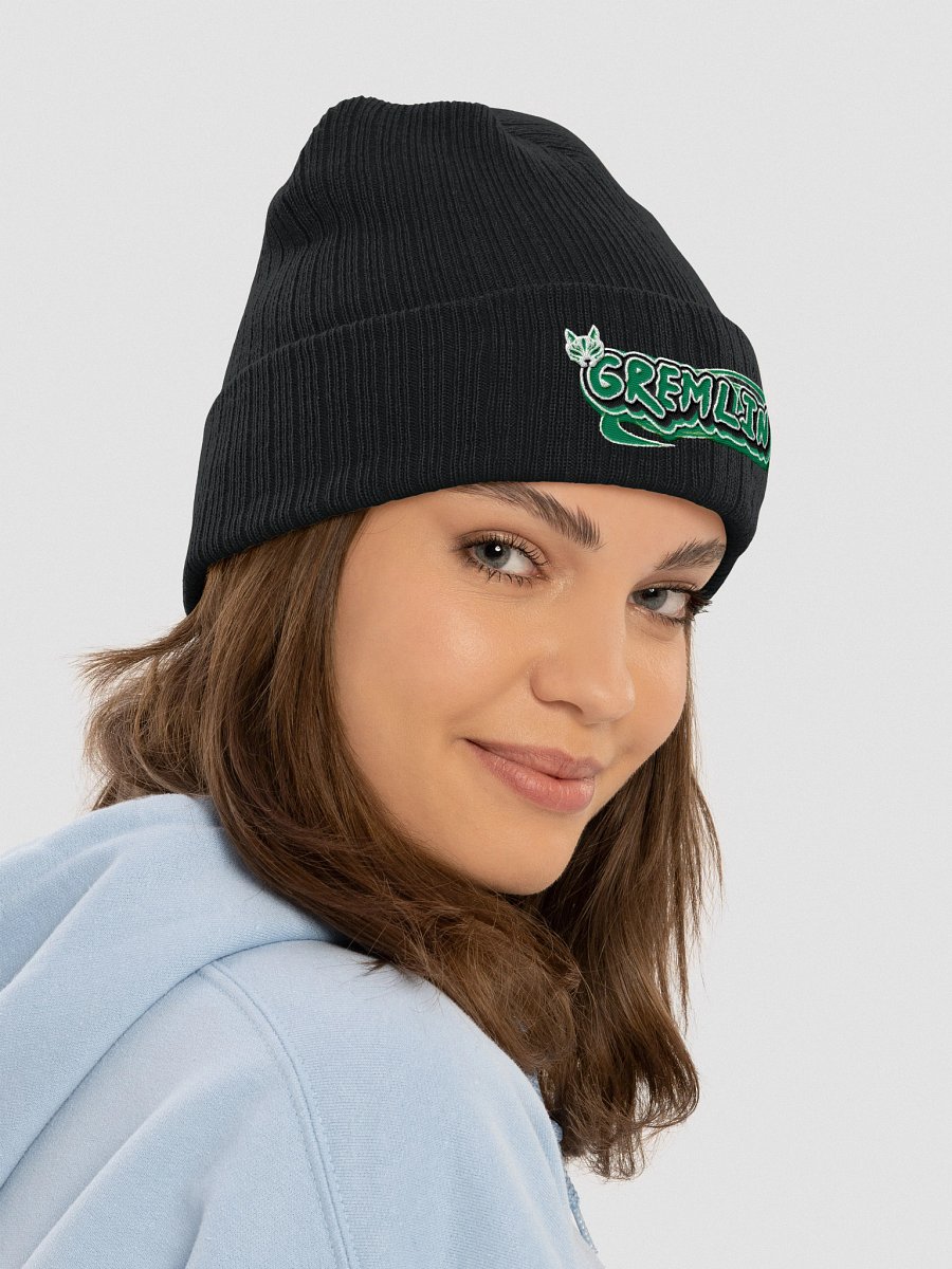 Gremlin Ribbed Beanie product image (37)
