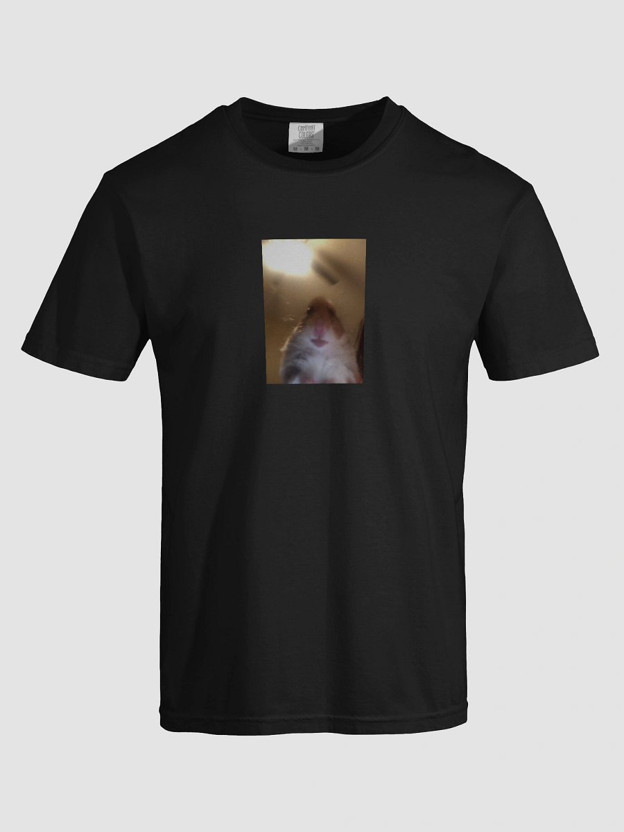 Staring Hamster shirt product image (5)