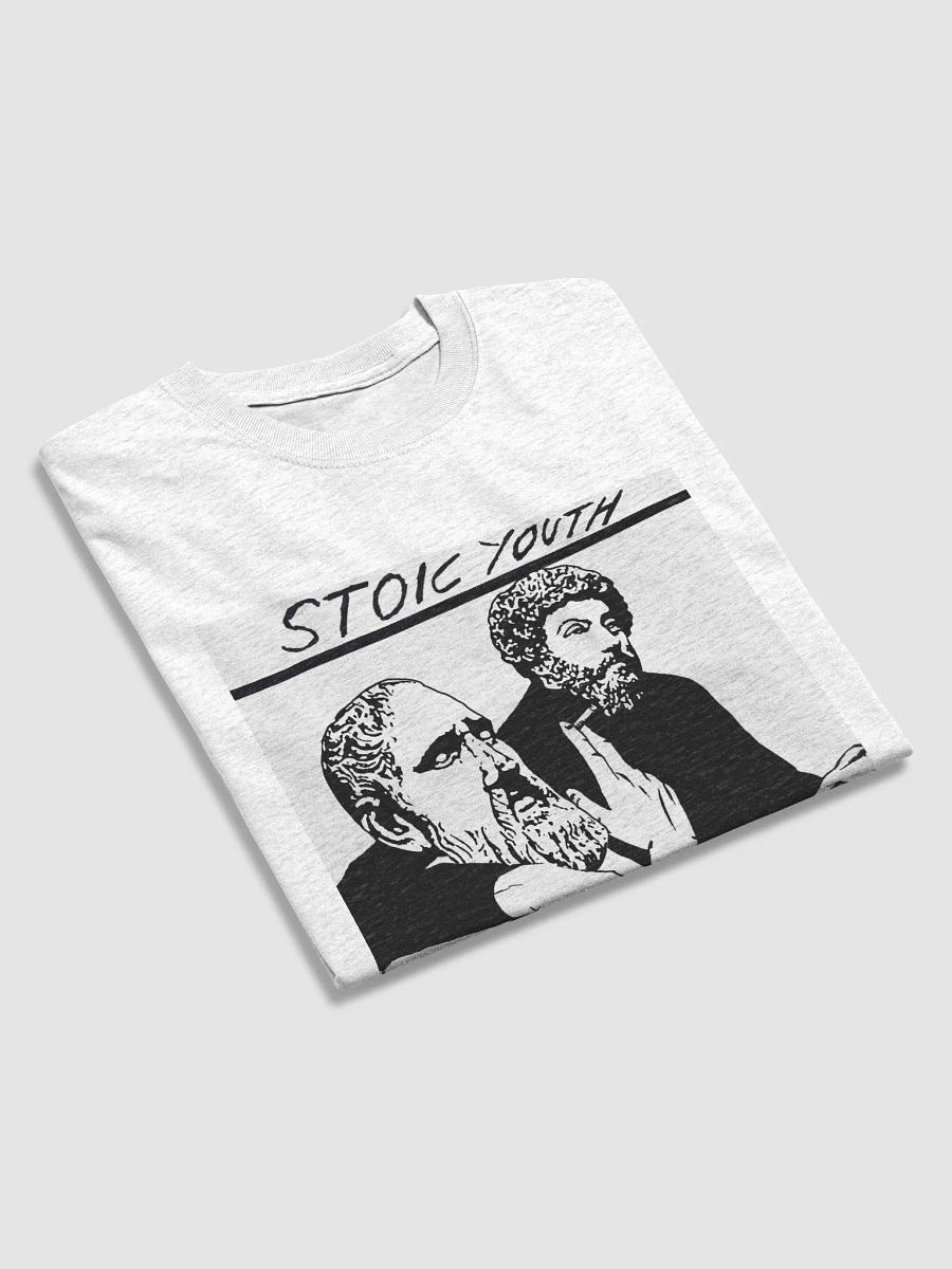 Stoic Youth Gildan Heavyweight T-Shirt product image (3)