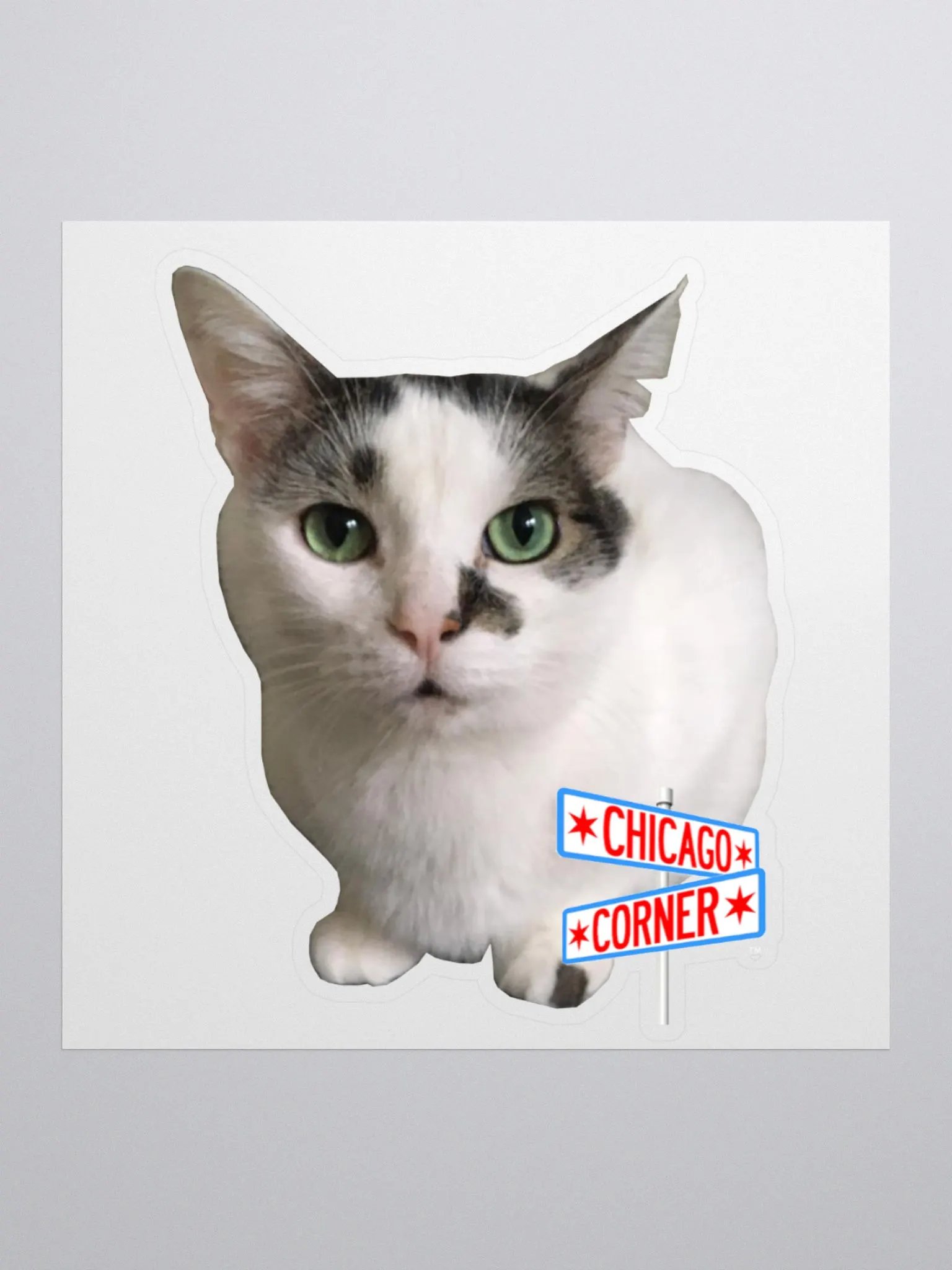Chicago Corner Oreo Stream Cat Sticker product image (1)
