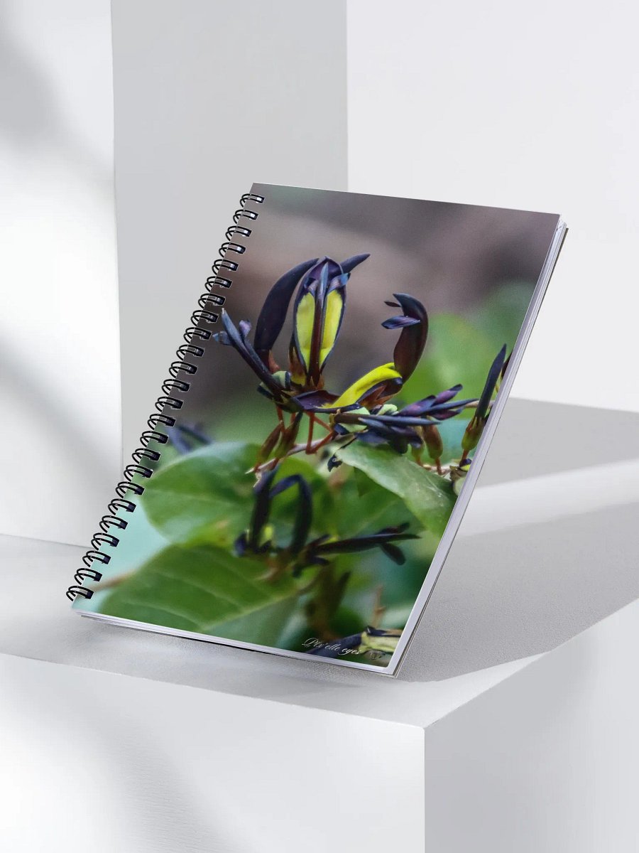 📘 Notebook Collection PURE – Jardin du Rayol – Kennedia nigricans product image (3)