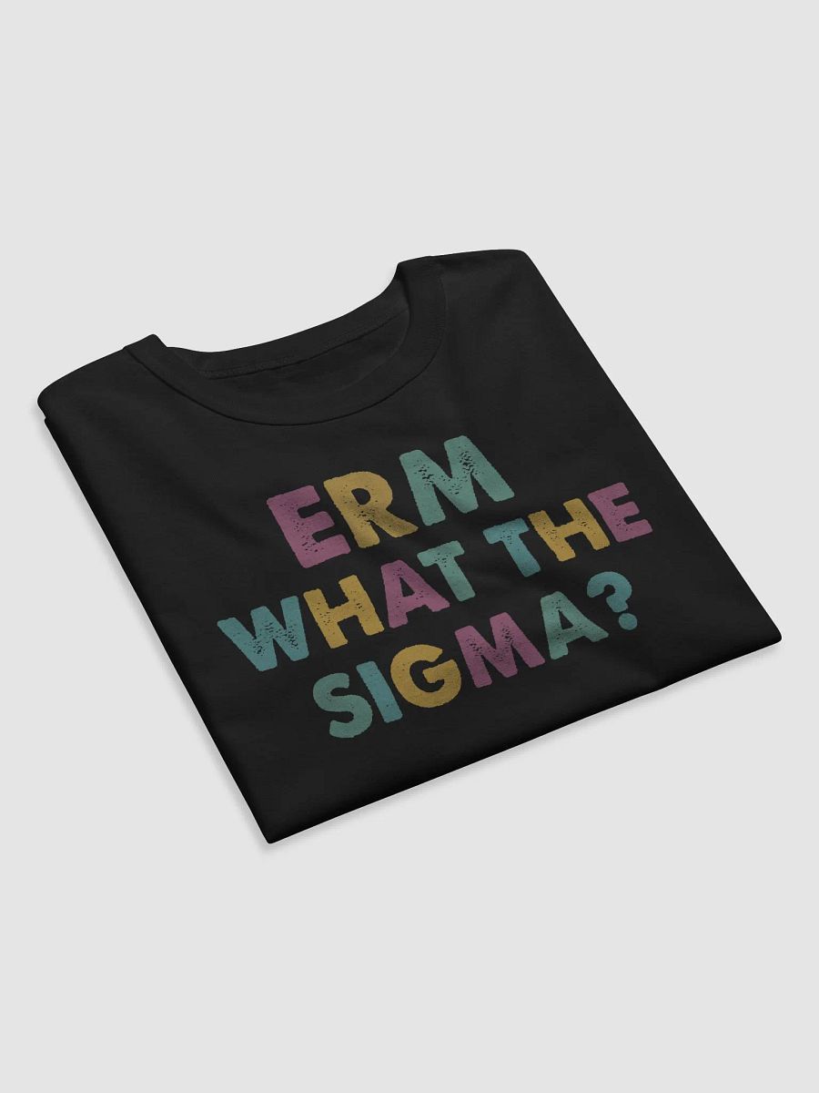 Erm, What the Sigma? - Funny T-Shirt product image (19)