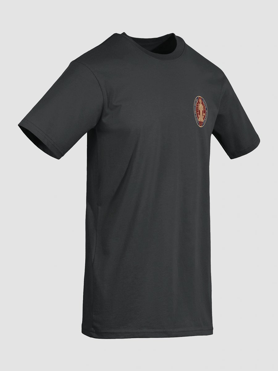 Saint Benedict Medal design Heavy Tee product image (7)
