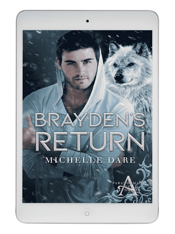 Brayden's Return product image (1)
