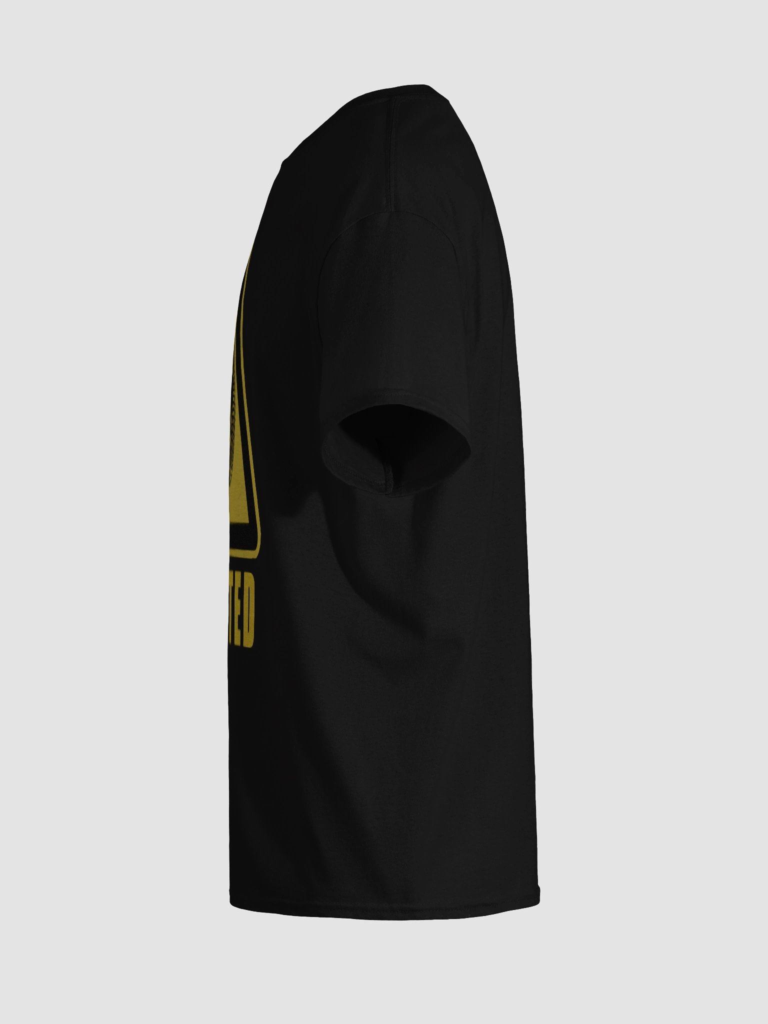 VIRAL HAZARD HEAVYWEIGHT TEE product image (11)