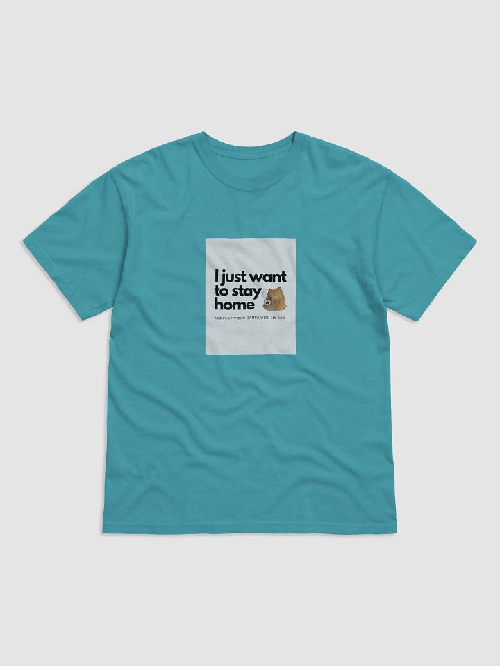 Just Want to Stay Home product image (1)