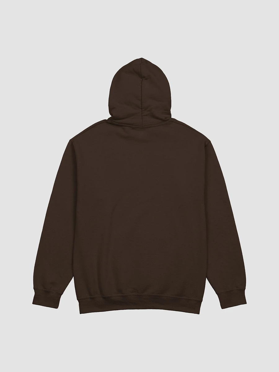 Chaotic Stupid classic hoodie product image (29)