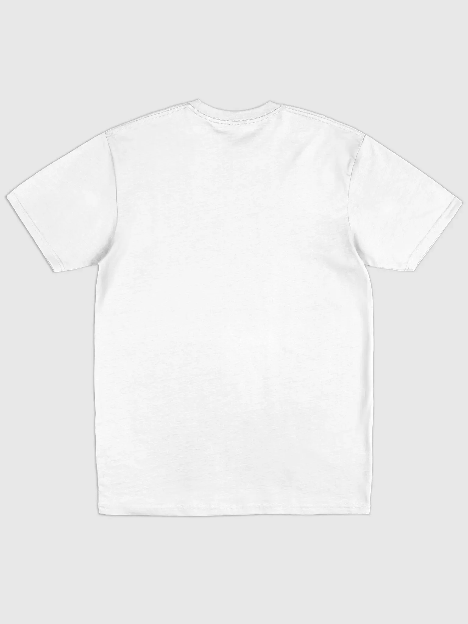 A Journey Home Heavyweight Tee product image (3)