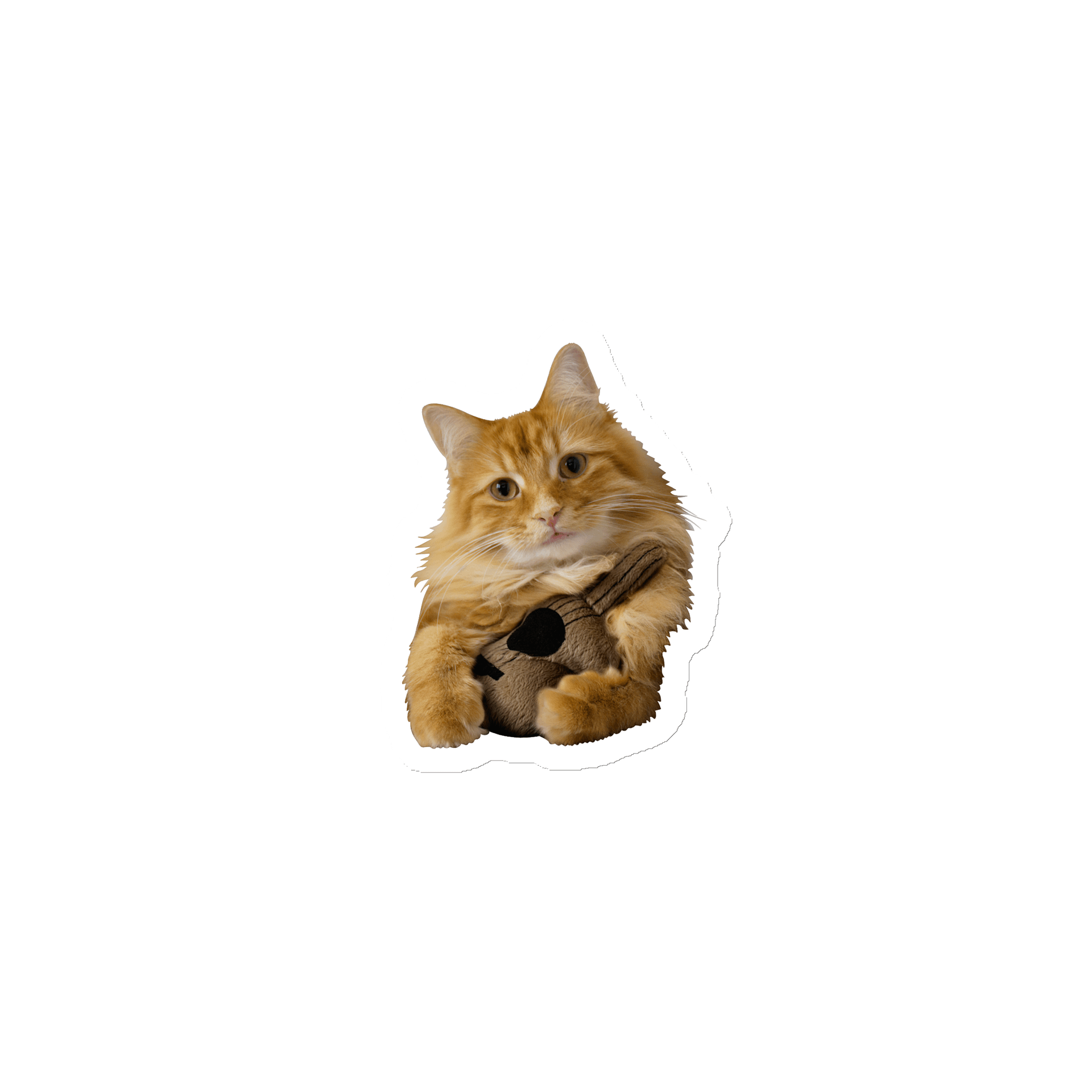 TOC - Pudding Magnet product image (1)