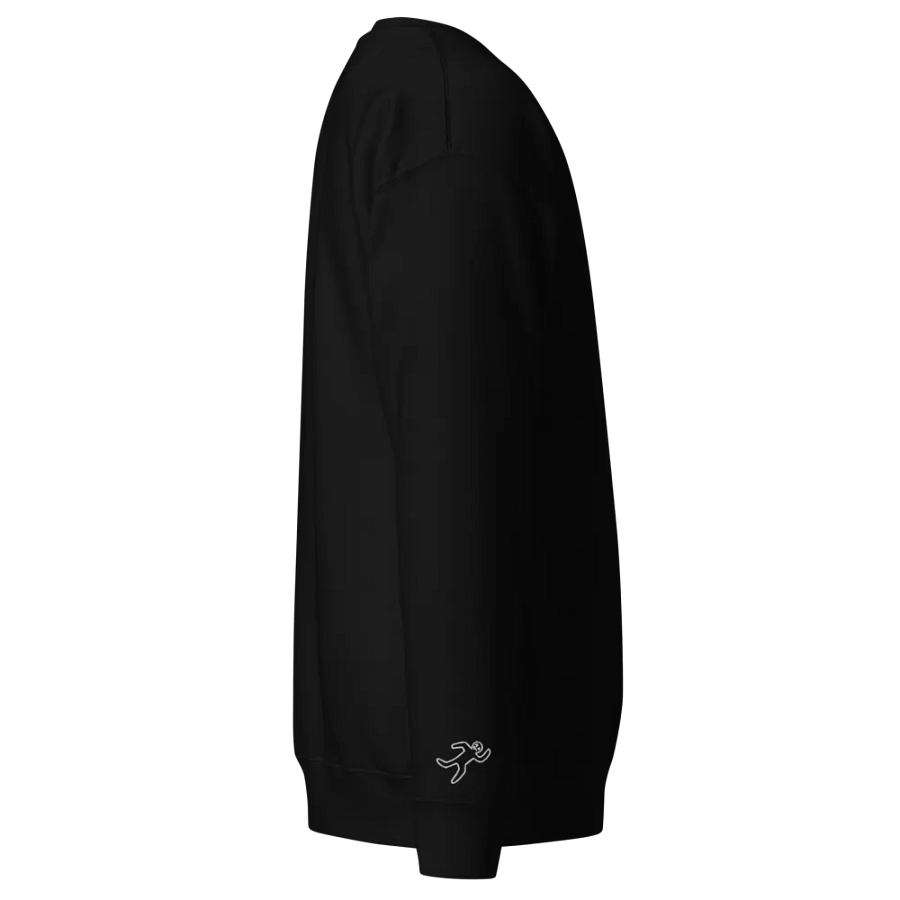 ChalkDunny Crew Neck Sweater Black product image (3)