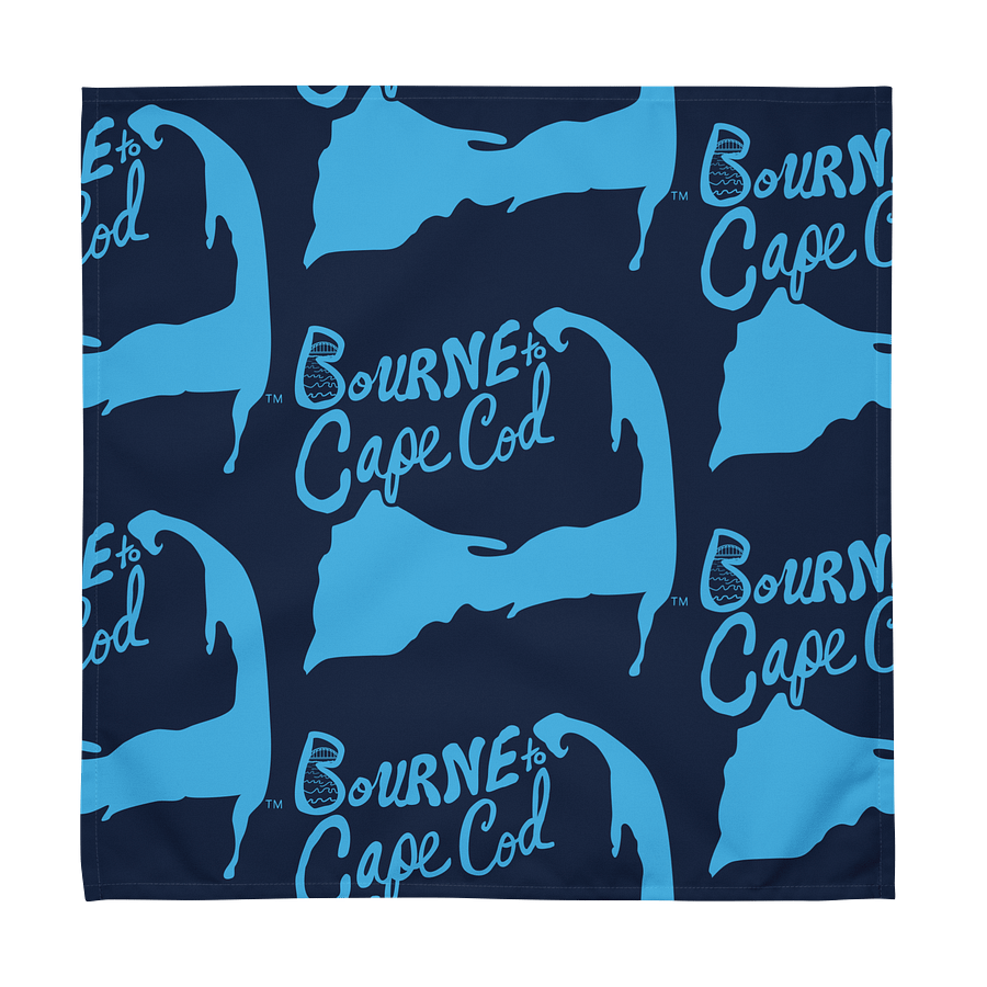 🌀BOURNE to Cape Cod™ | Logo Print Cloth Napkin Set (4) | Coastal Dining Essentials | Multi-Colored product image (10)