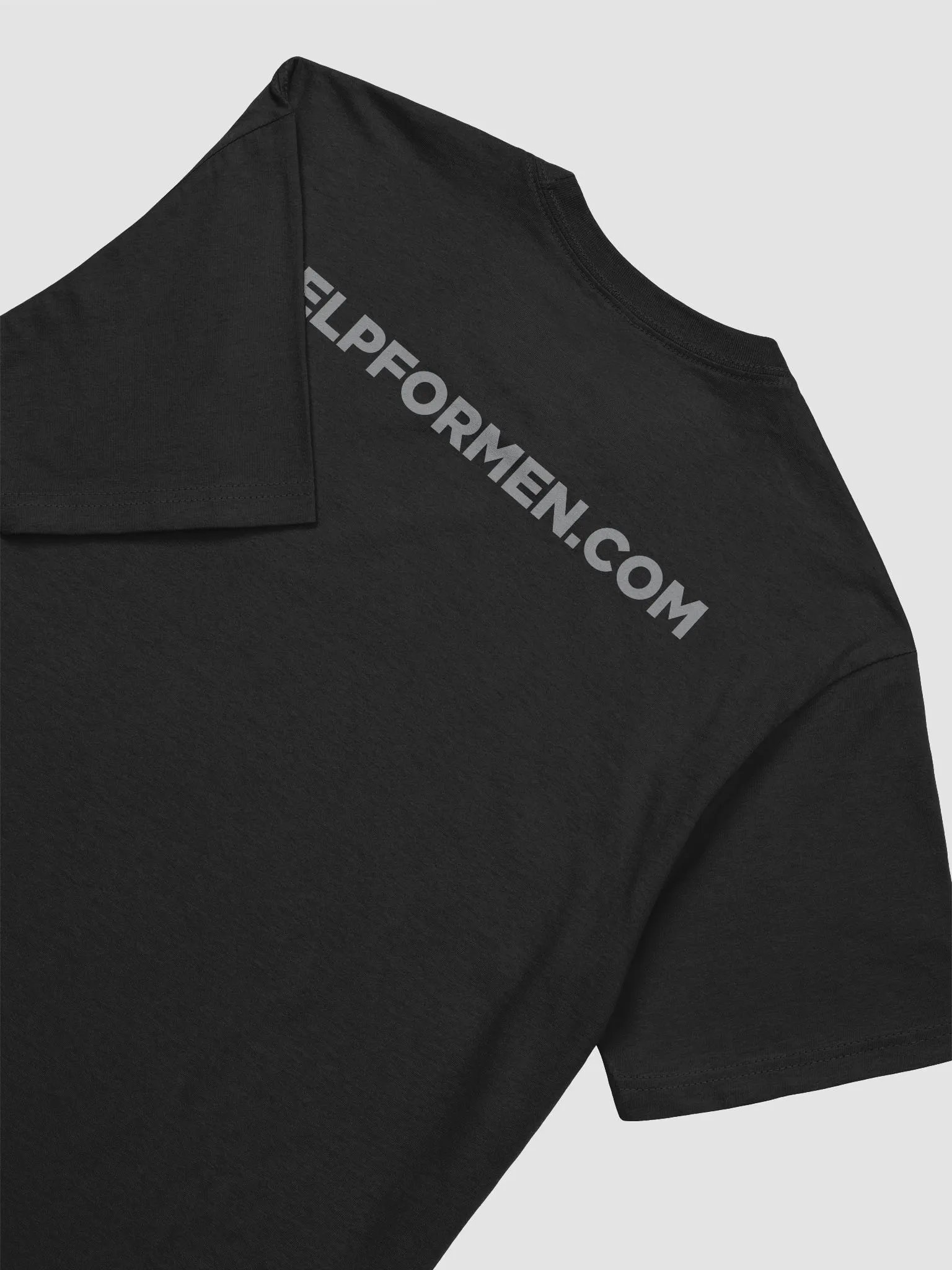 HFM T-Shirt (Grey Logo) product image (28)