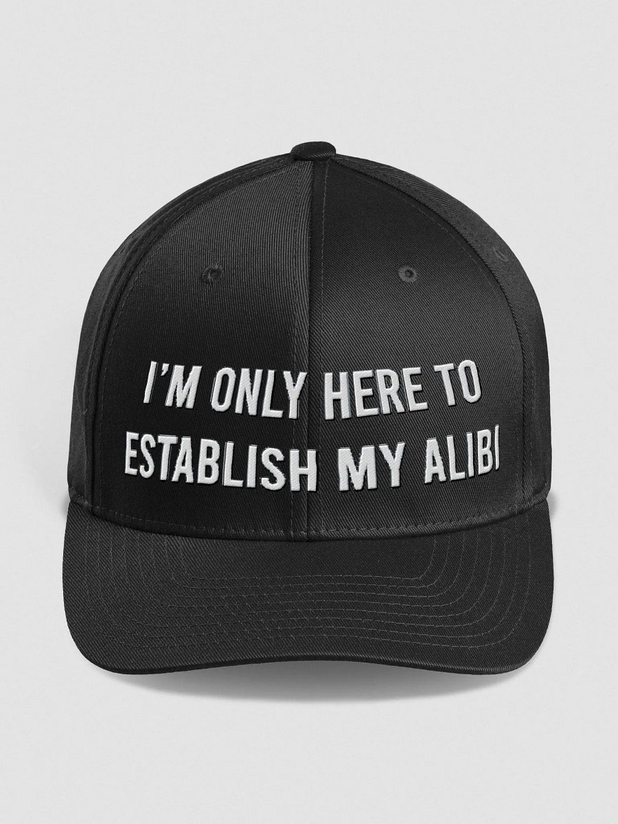 Establish My Alibi - Hat product image (62)