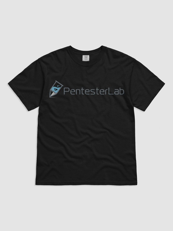 PentesterLab product image (2)