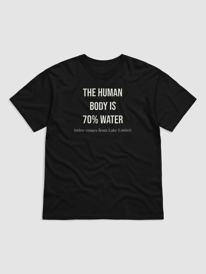 70% Lake Lanier Heavyweight Tee product image (2)